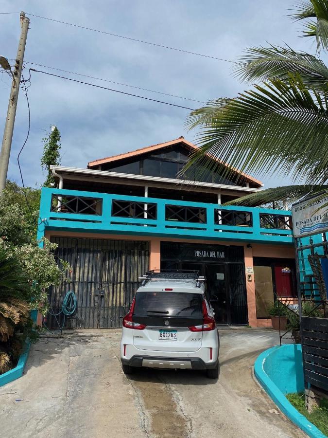 Uverito Sand Dollar B&B 拉斯塔布拉斯 外观 照片