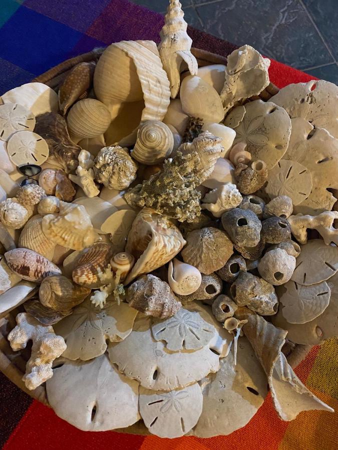 Uverito Sand Dollar B&B 拉斯塔布拉斯 外观 照片