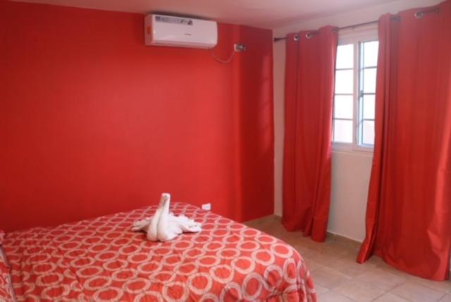 Uverito Sand Dollar B&B 拉斯塔布拉斯 外观 照片