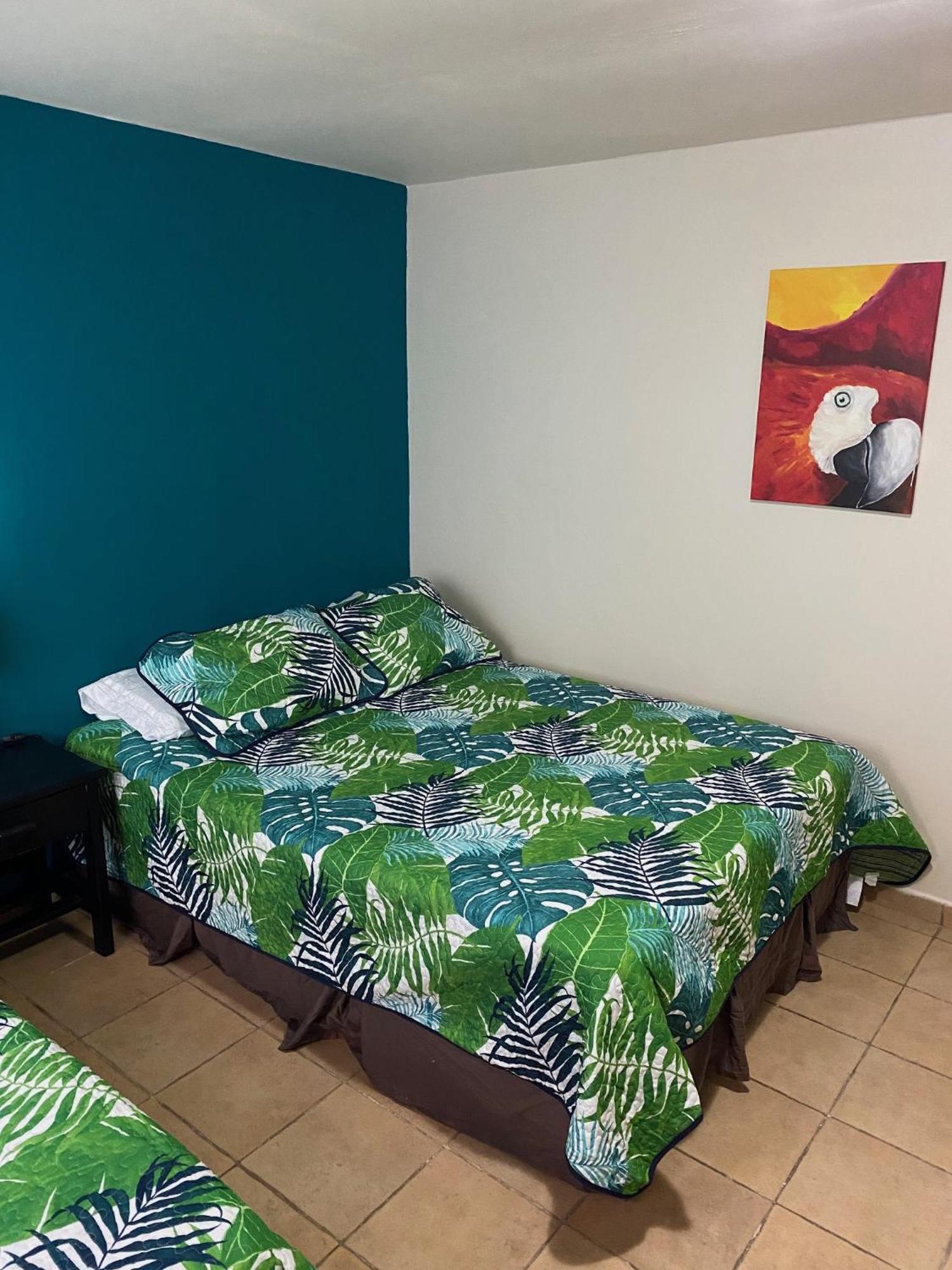 Uverito Sand Dollar B&B 拉斯塔布拉斯 外观 照片